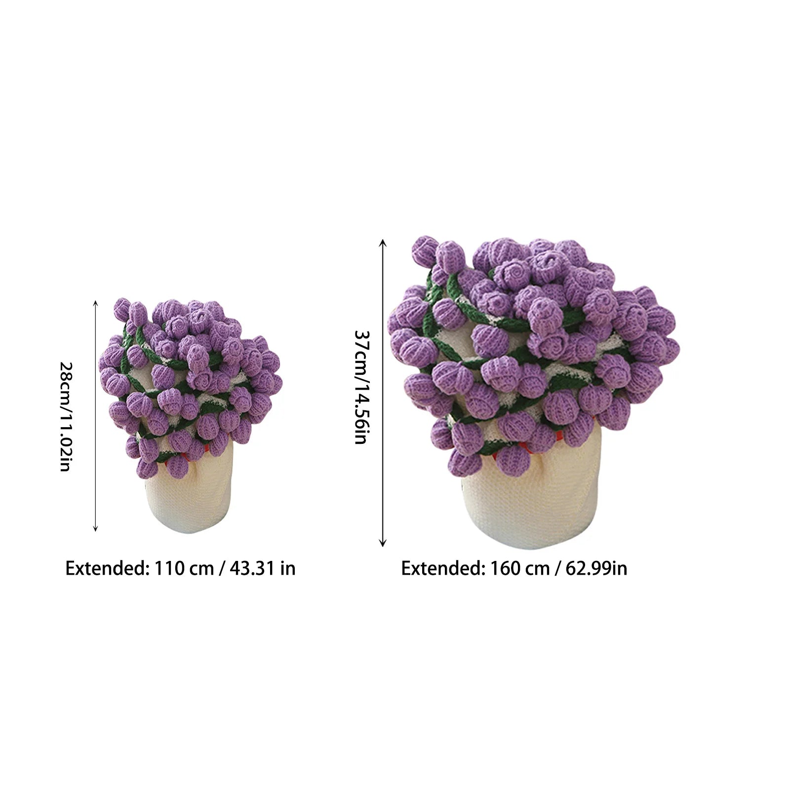 زهور وأحضان